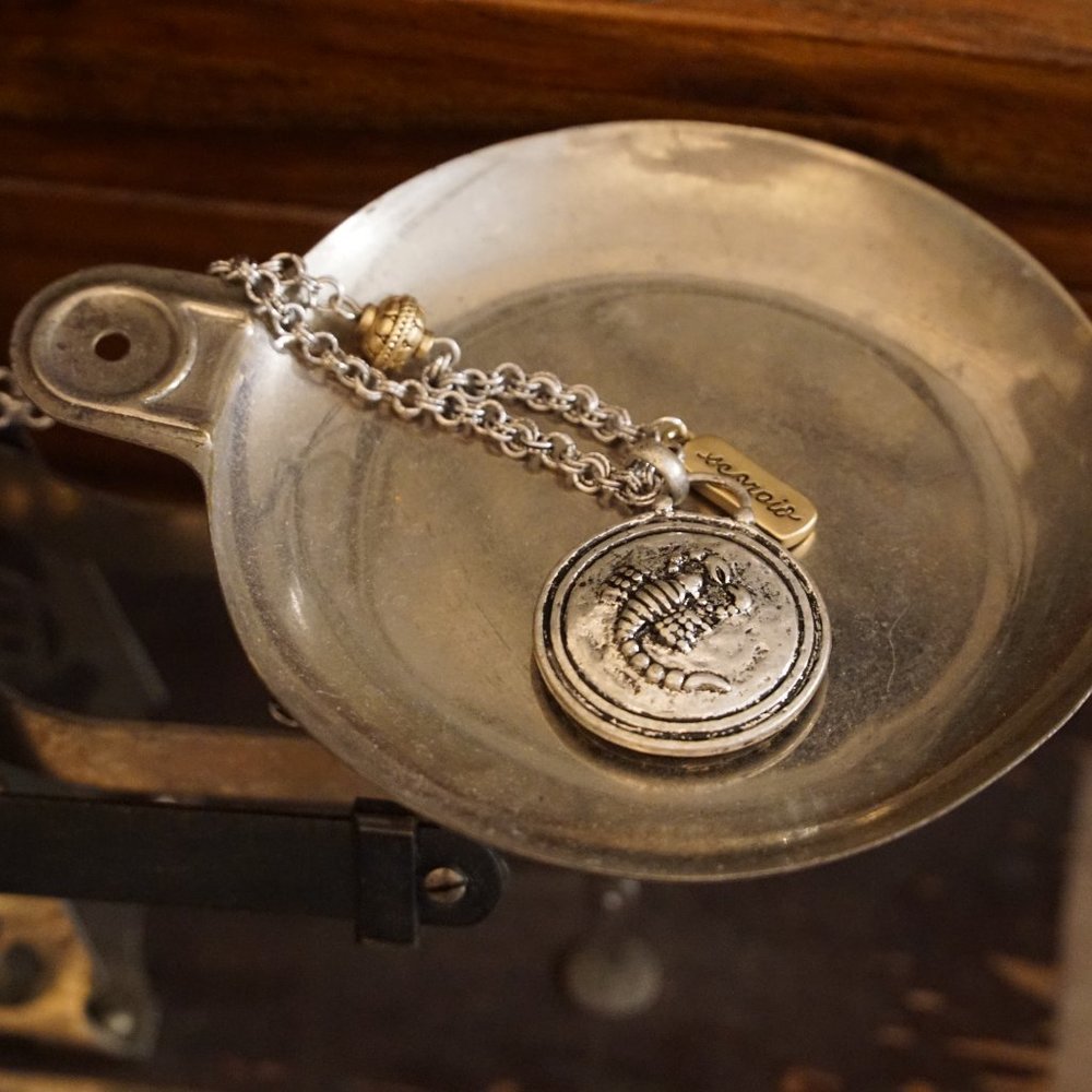 Scorpio Reversible Necklace